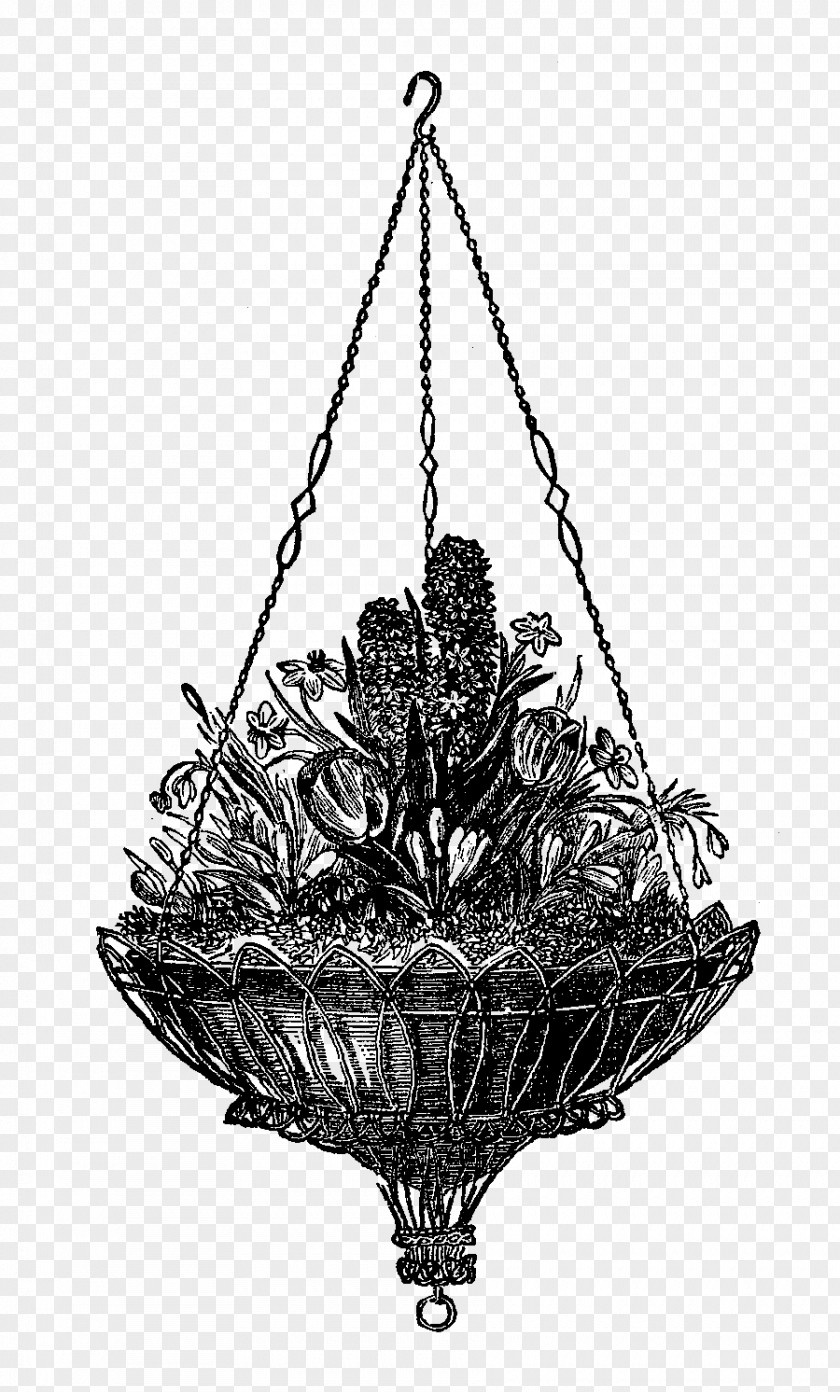 Hanging Flower Drawing Clip Art PNG