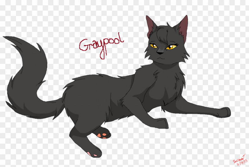 Kitten Cat Graypool Whiskers Willowbreeze PNG