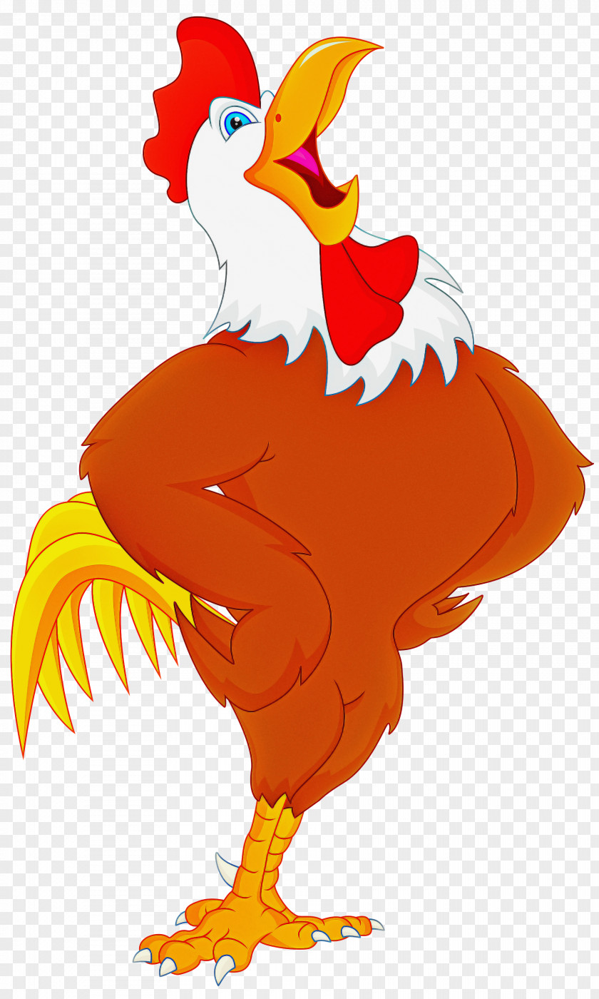 Rooster Chicken Bird Cartoon Beak PNG