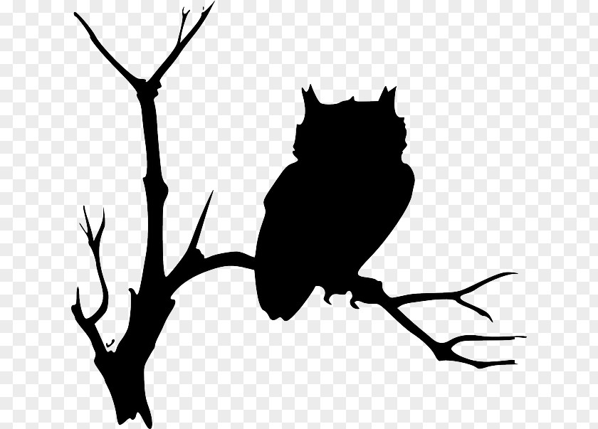 Tree Drawing Outline Barn Owl Clip Art PNG