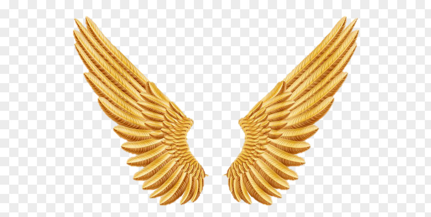 Wing Vector Gold Bird Stock Photography Clip Art PNG