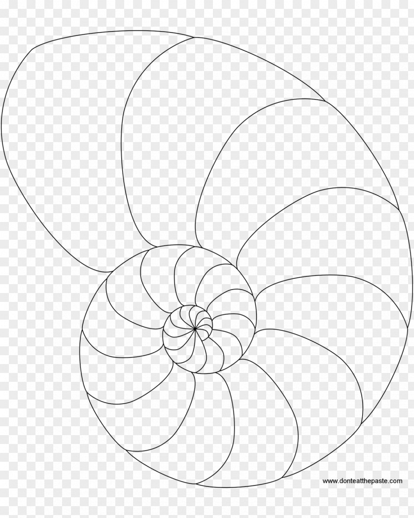 Color Spiral Pattern Seashell Template Drawing Coloring Book Nautilidae PNG
