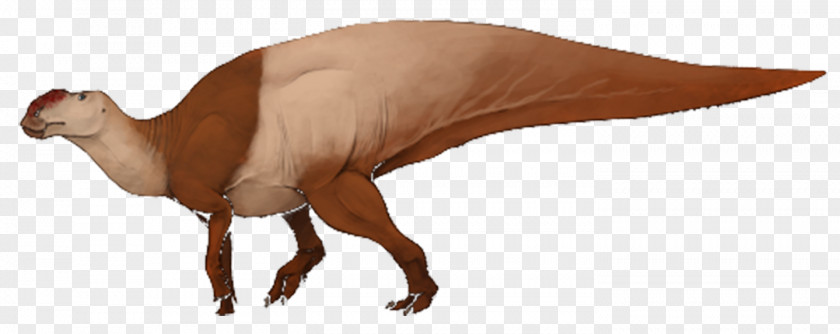 Dinosaur Hadrosaurus Foulkii Leidy Site Edmontosaurus Skeleton PNG