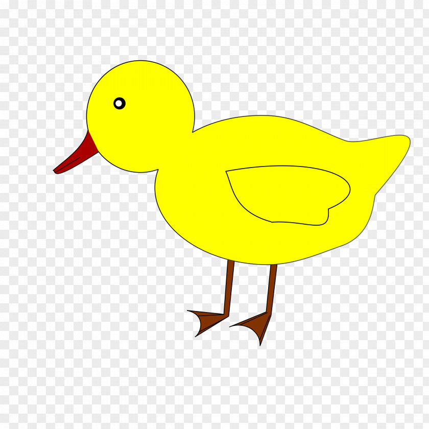 Duck Water Bird Clip Art PNG