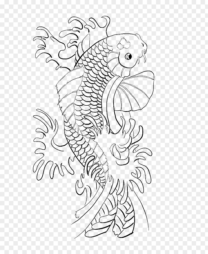 Koi Line Art Drawing PNG