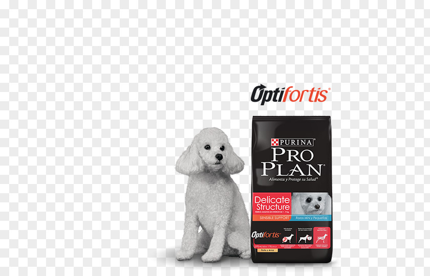 Puppy Dog Breed Poodle Chow Non-sporting Group PNG