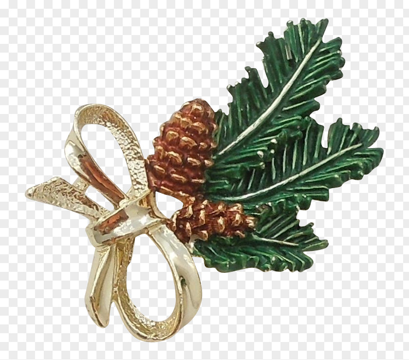 Pine Cone Tree Conifers Christmas Ornament PNG