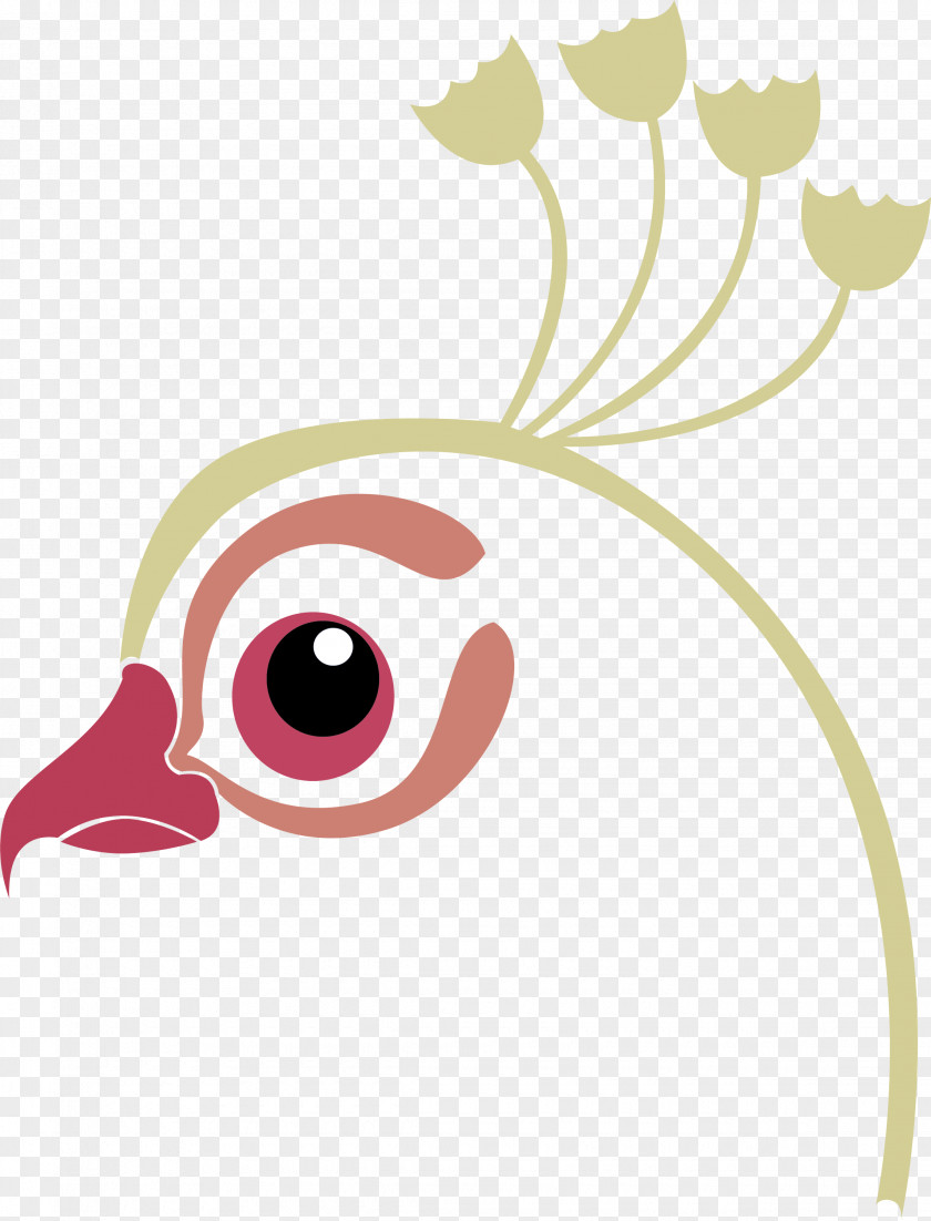 Ducks Birds Chicken Water Bird Beak PNG