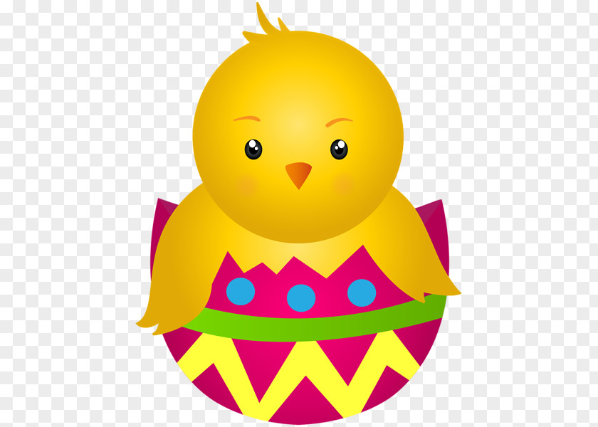 Egg Chicken Or The Hen Clip Art PNG