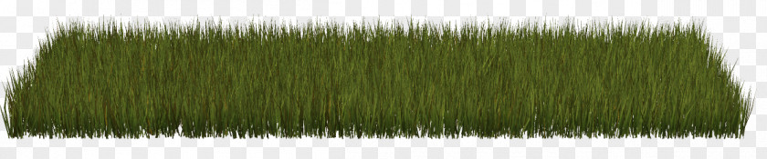 Grass Herbaceous Plant Lawn Clip Art PNG