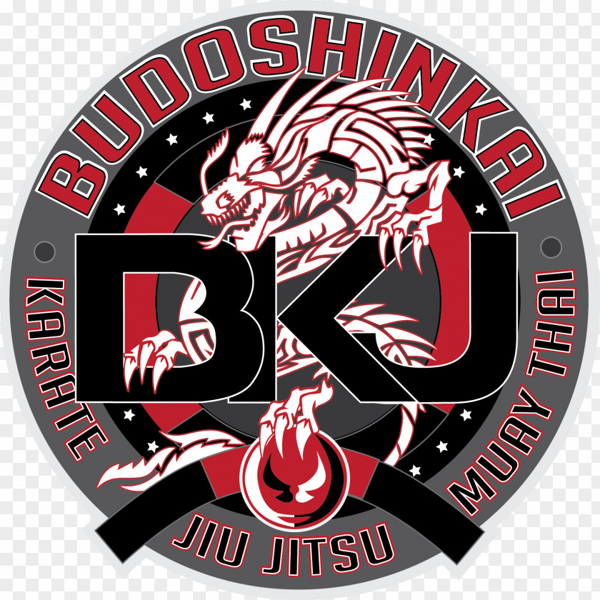 Mixed Martial Arts BKJ Jujutsu Karate PNG