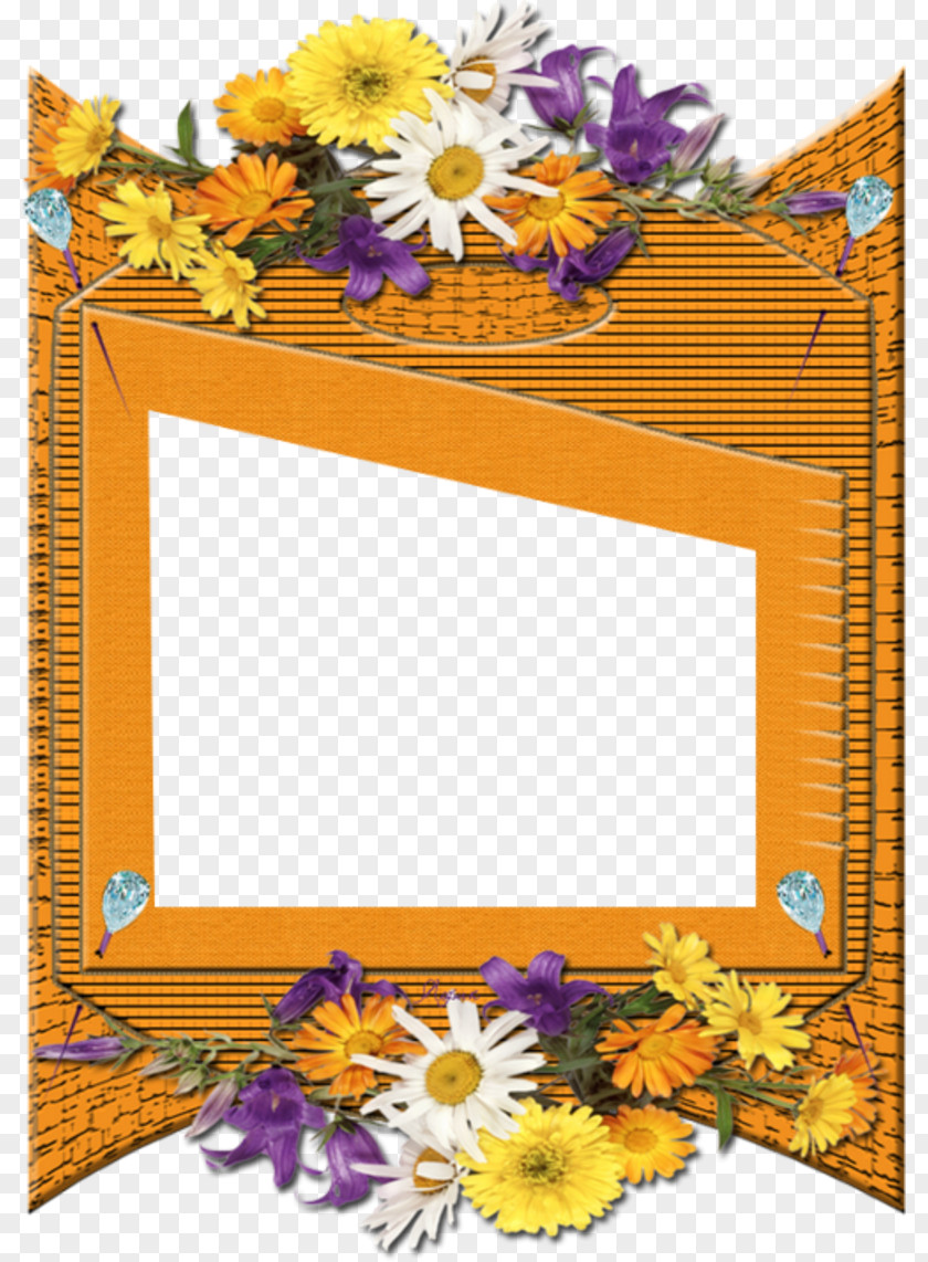 PhotoFiltre Picture Frames Painting Clip Art PNG