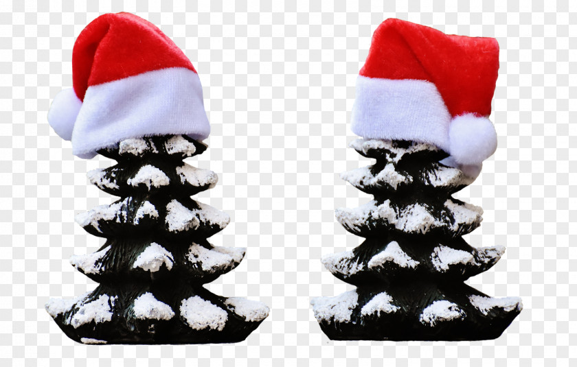 Show Terror Twins Christmas Tree Day Stock.xchng Ornament Lights PNG