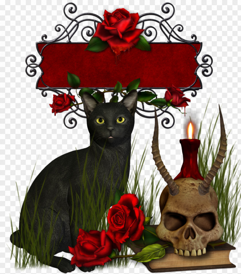 Skull And Cat GIF Clip Art Black Rose Image Gfycat PNG