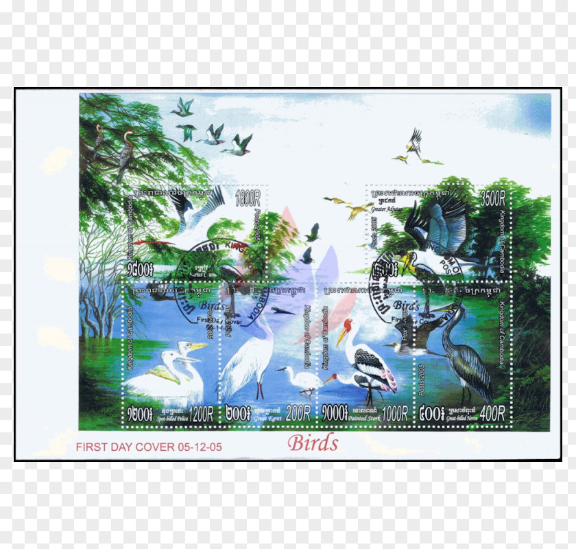 Waterbirds Ecosystem Fauna Advertising PNG