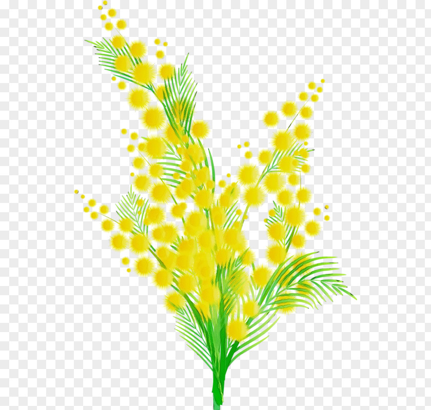Yellow Plant Leaf Flower Grass PNG