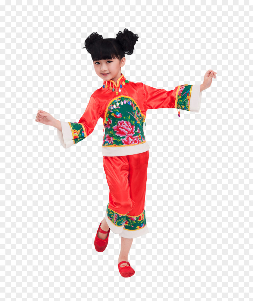 Chinese New Year Sohu LOFTER 新浪博客 Week PNG