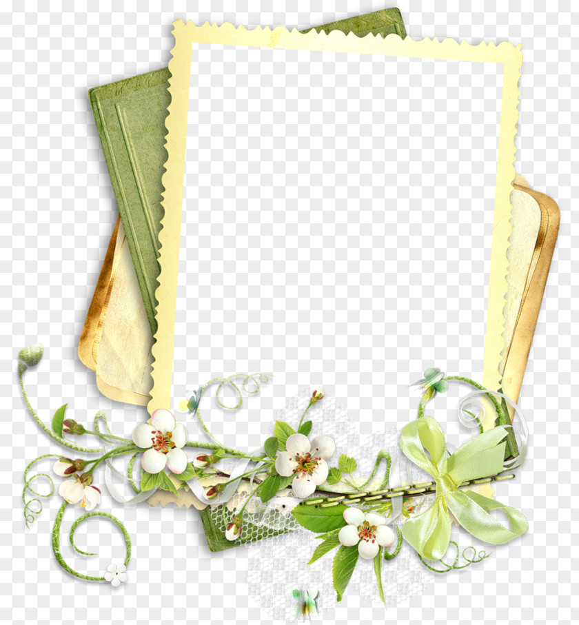 GRADUATION BORDER PNG