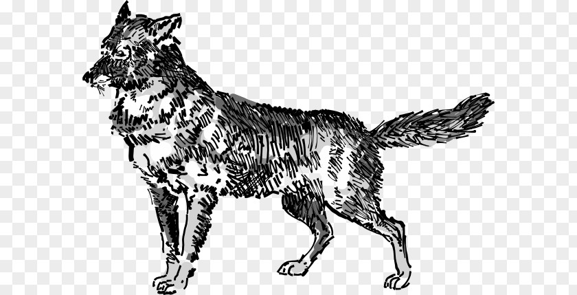 Jackal Cliparts Dog Drawing Clip Art PNG