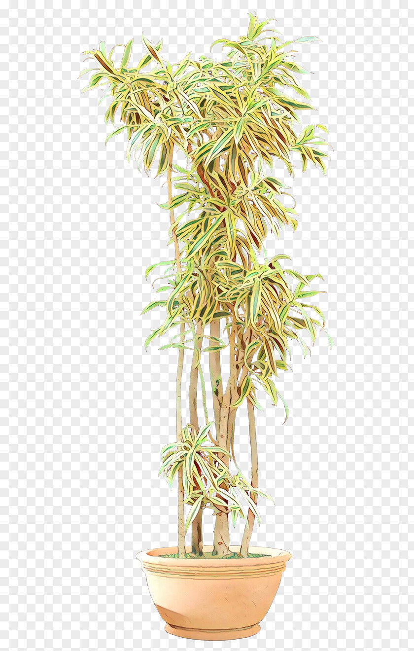 Flowerpot Tree Houseplant Arecales Plant Stem PNG
