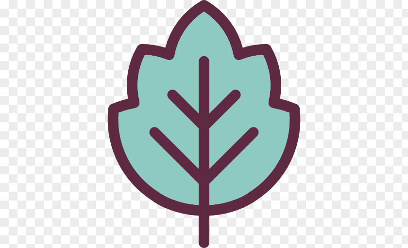 Leafe Icon Vector Graphics Illustration Royalty-free Stock Photography PNG