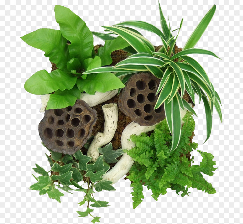 Plant Idea Flowerpot Tableau Software PNG