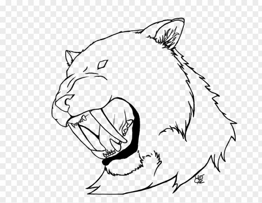 Realistic Sketch Saber-toothed Tiger Sabretooth Cat Drawing PNG