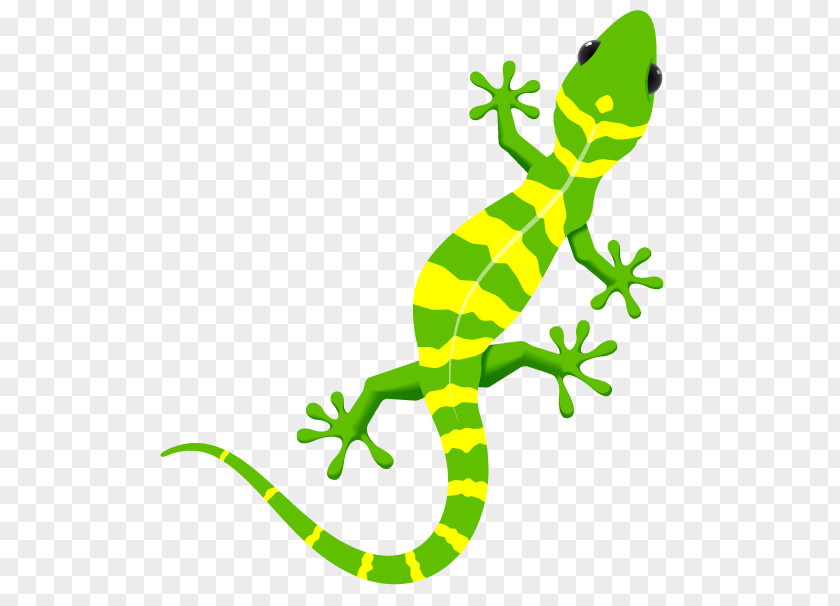 Sprite Gecko Lizard Painting Art PNG