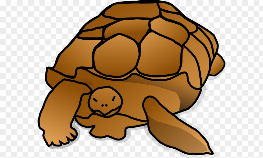 Tortoise Clipart Green Sea Turtle Reptile Cartoon Clip Art PNG