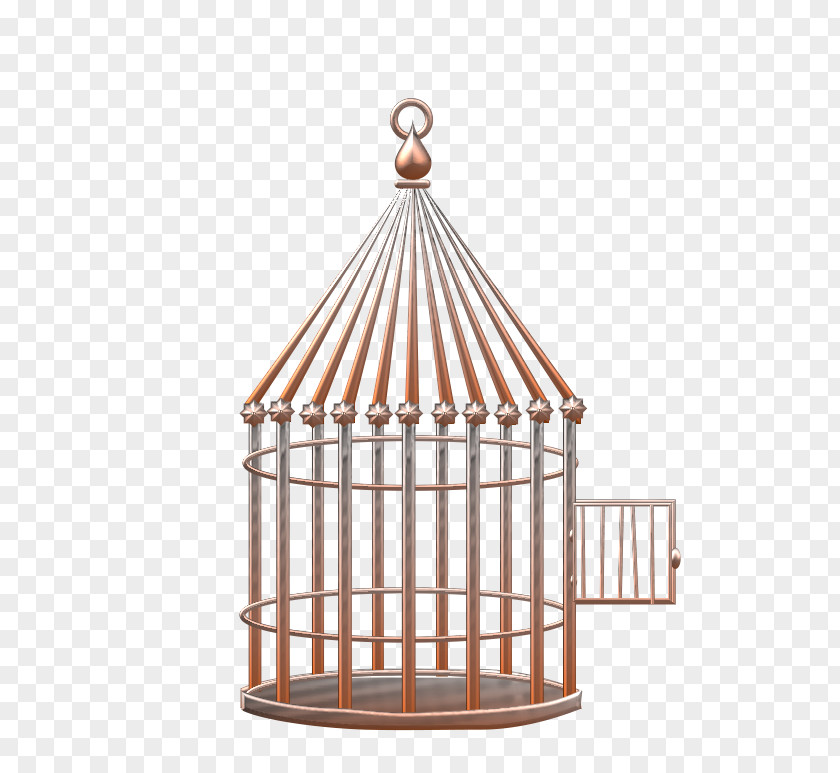 Bird Birdcage Common Ostrich Drawing PNG