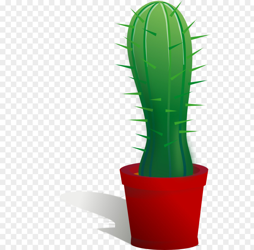 Cactus Images Free Cactaceae Clip Art PNG