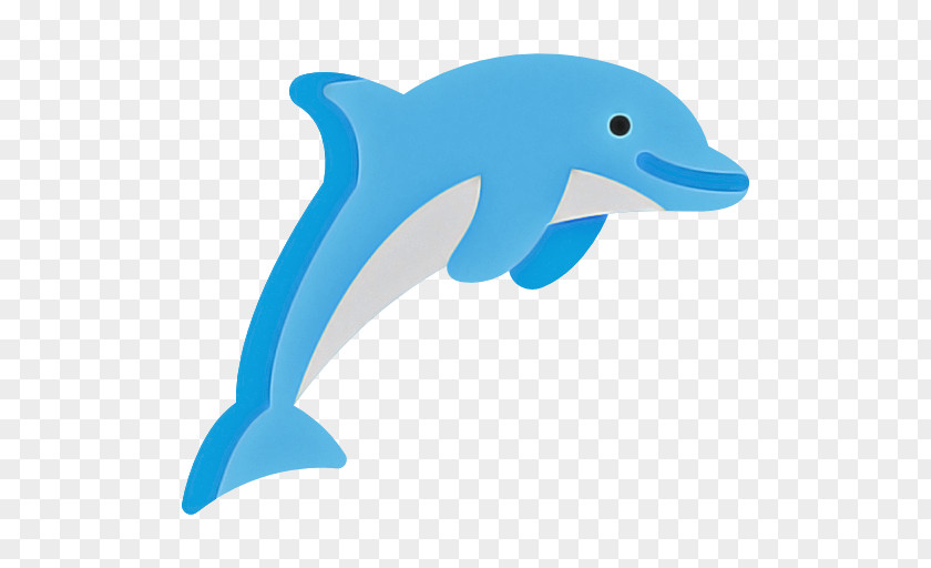 Dolphin Bottlenose Fin Short-beaked Common Cetacea PNG