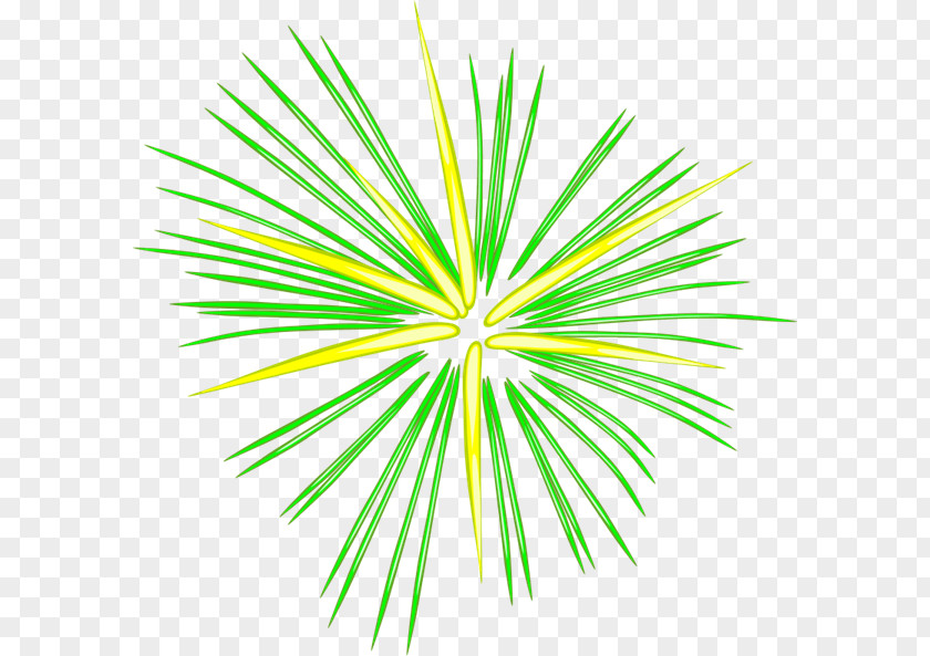 Fireworks Cartoon Clip Art PNG