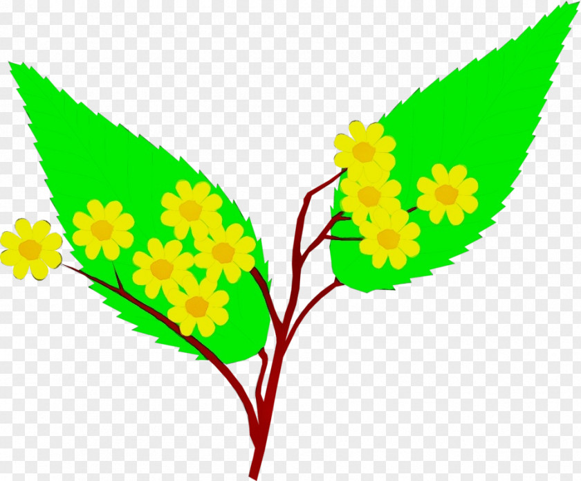 Leaf Yellow Flower Plant PNG