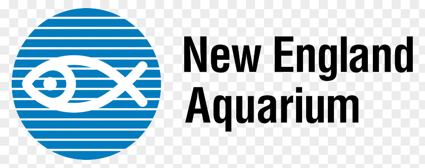 New England Aquarium Zoo Hotel Public PNG