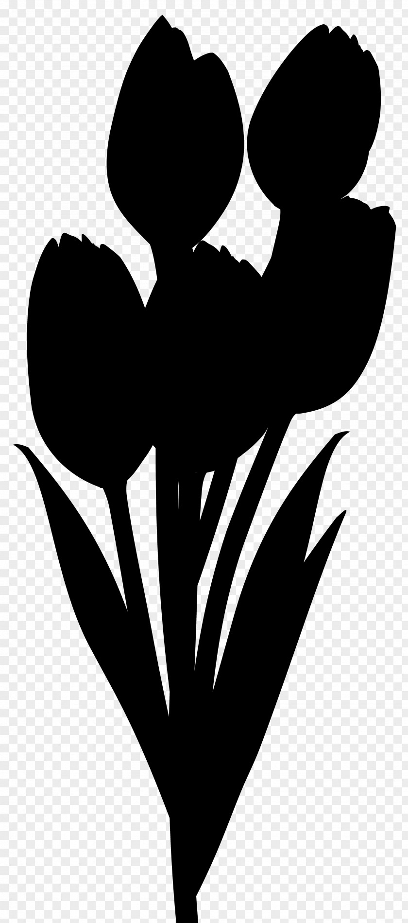 Tulip Plant Love Background Heart PNG