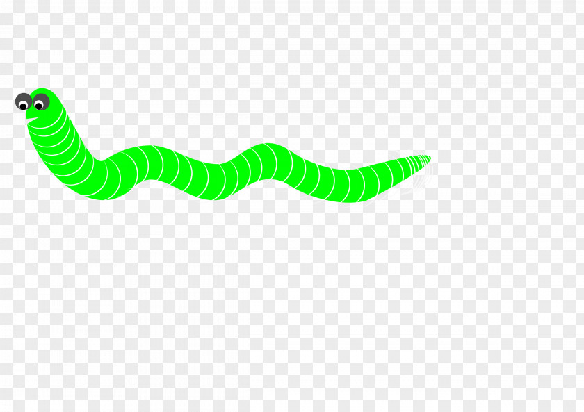 Computer Worm Clip Art PNG