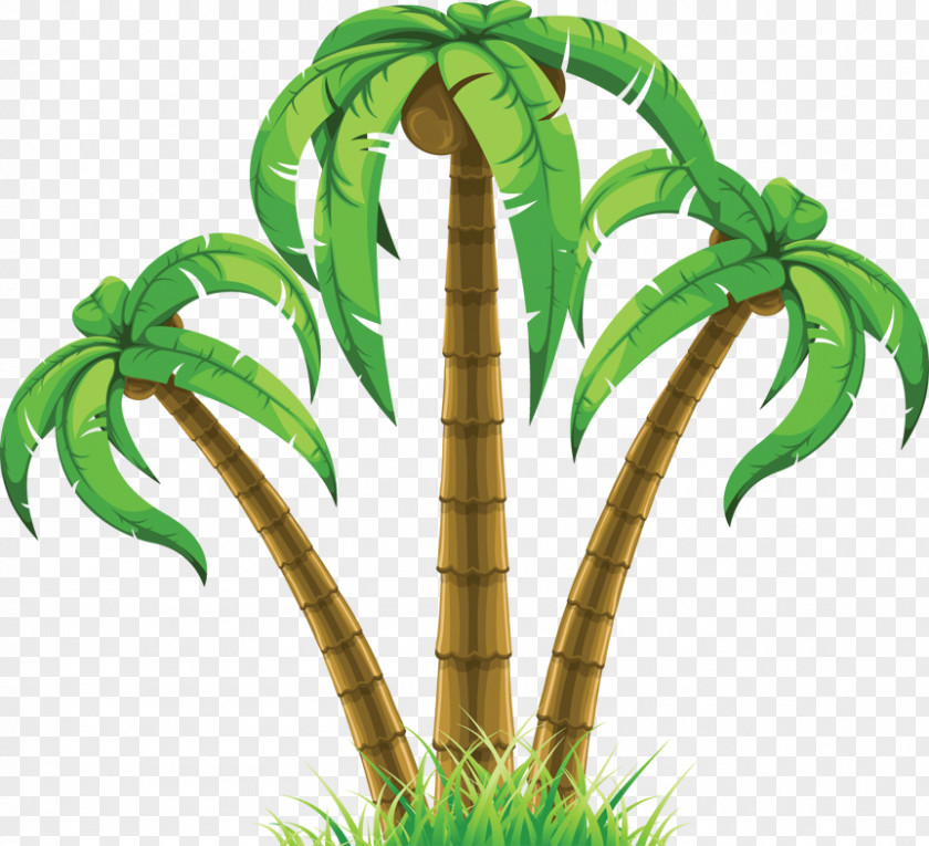 Gaylord Palms Clip Art Palm Trees Image Vector Graphics PNG