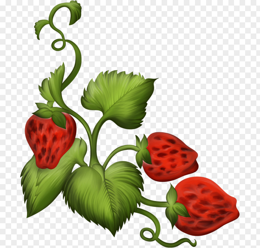 Hand-painted Strawberry Mushroom Free Content Royalty-free Clip Art PNG