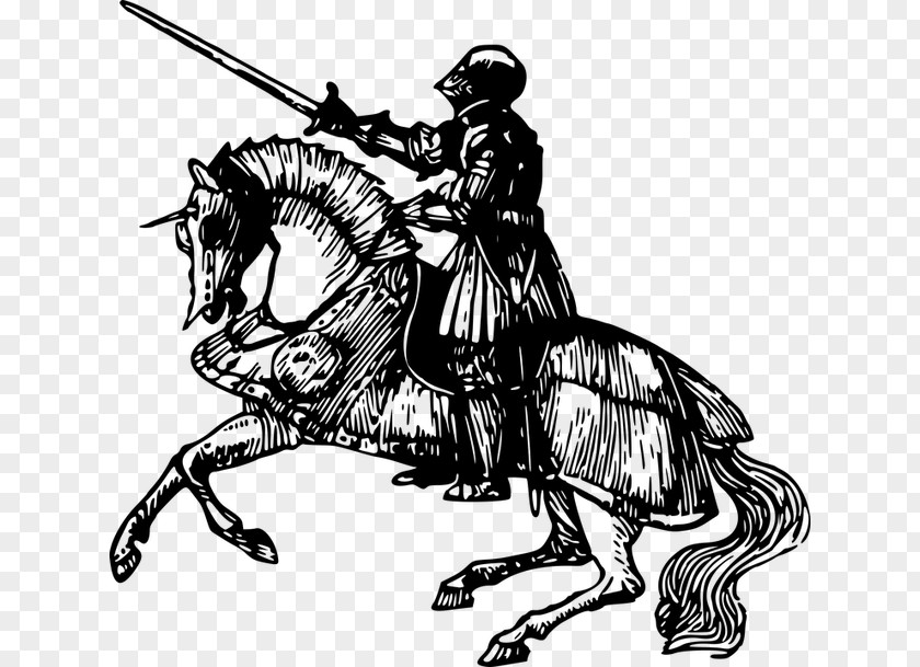Horse Knight Equestrian Drawing Clip Art PNG