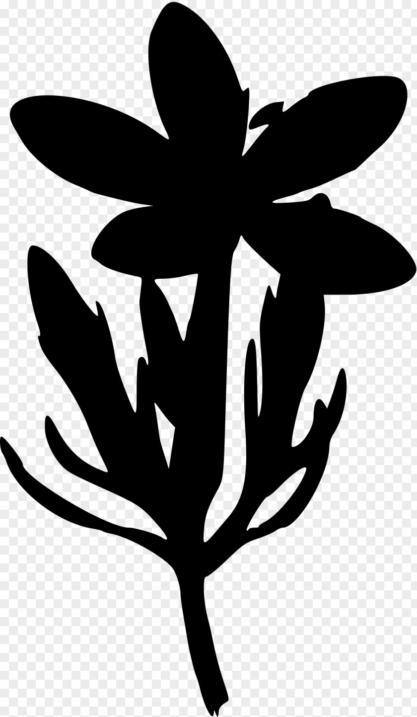 Silhouettes Clipart Silhouette Gentian Clip Art PNG