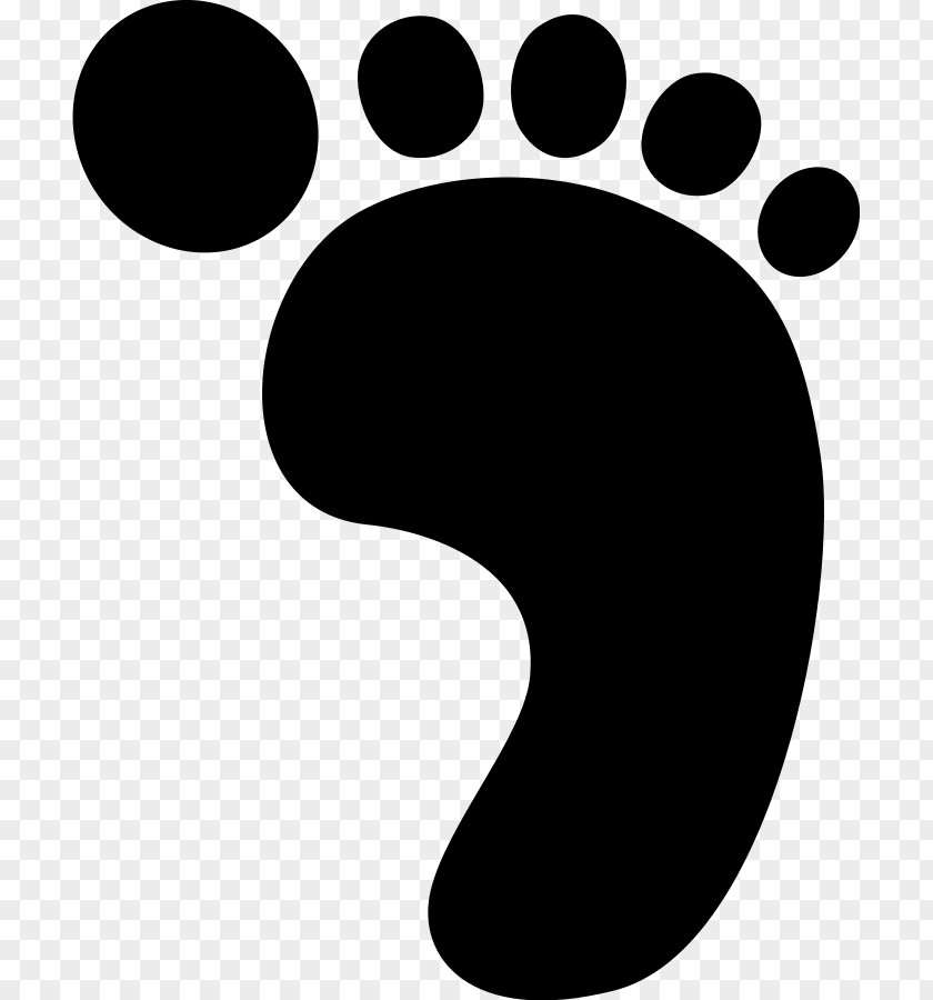 Walking Footprint Cliparts Dinosaur Footprints Reservation Clip Art PNG
