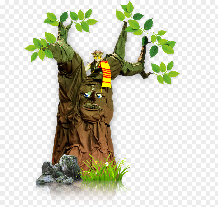 Baum Tree Forest Bark PNG