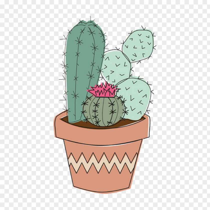 Cactus Drawing Clip Art Image PNG
