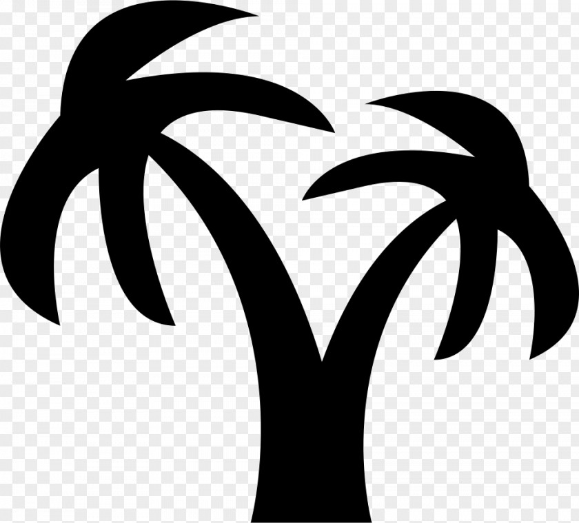 Coconut Tree Vector Arecaceae Logo PNG