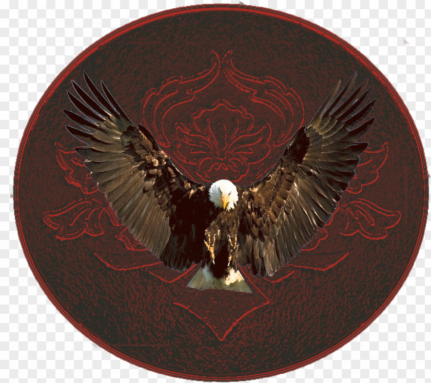 Eagle Vinyl Graphics Copyright Product All Rights Reserved Price Maroon PNG