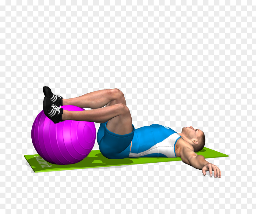 Exercise Balls Physical Fitness Abdominal Abdomen PNG