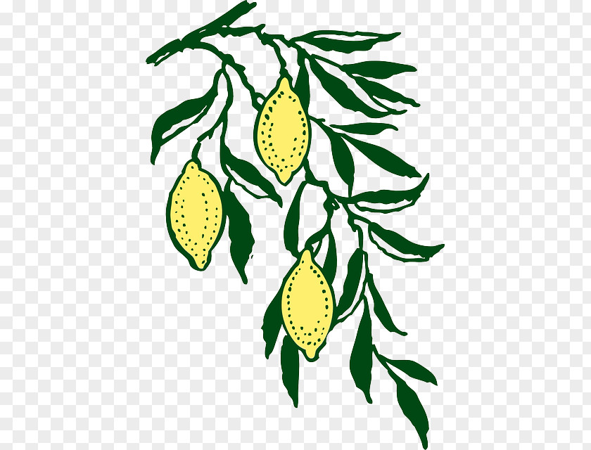 Yellow Melon Juice Lemon Clip Art PNG