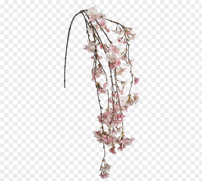 Cherry Blossom Flower Tokyo Ghoul Brazil Floral Design PNG