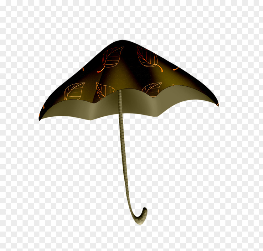 Design Umbrella PNG